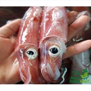 Mực Ống Làm Sạch Đặc Biệt