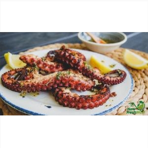 Bạch Tuộc Nguyên Con Bạch Tuộc Nguyên Con