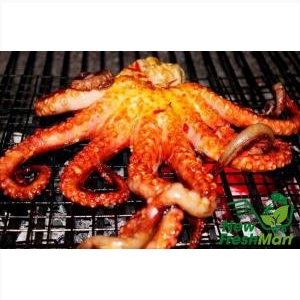 Bạch Tuộc Nguyên Con Bạch Tuộc Nguyên Con