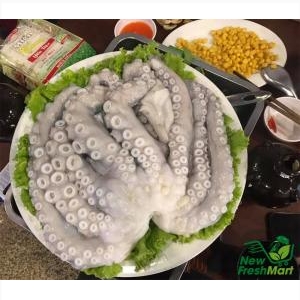 Bạch Tuộc Nguyên Con Bạch Tuộc Nguyên Con