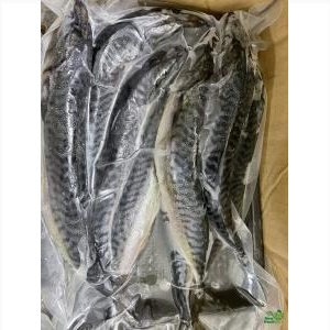 Cá Sa Ba Nhật - 1Kg