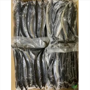 Cá Sa Ba Nhật - 1Kg