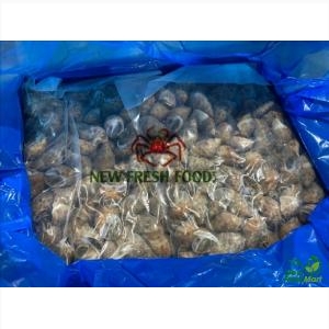 Ốc Hương Ấn Độ