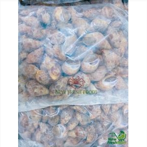 Ốc Hương Ấn Độ