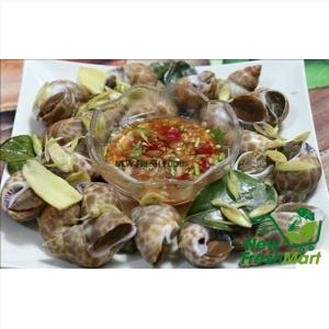 Ốc Hương Ấn Độ