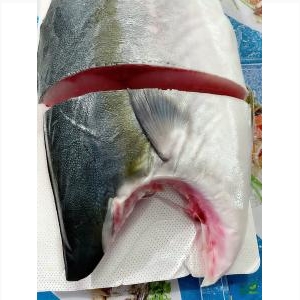 Cá Cam Nhật Fillet - Hamachi Cá Cam Nhật Fillet - Hamachi
