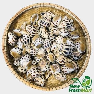 Ốc Hương Quế Ốc Hương Quế