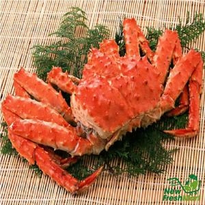 Cua Hoàng Đế Nguyên Con Hấp