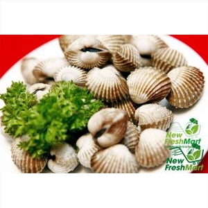 Sò Huyết Nguyên Con