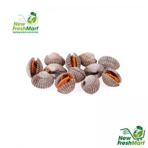 Sò Huyết Nữa Mảnh Sò Huyết Nữa Mảnh