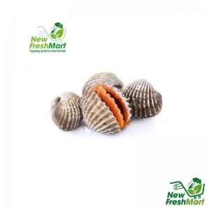 Sò Huyết Nữa Mảnh Sò Huyết Nữa Mảnh