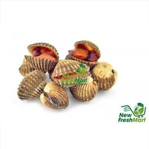 Sò Huyết Nữa Mảnh Sò Huyết Nữa Mảnh