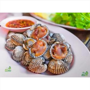 Sò Huyết Nguyên Con