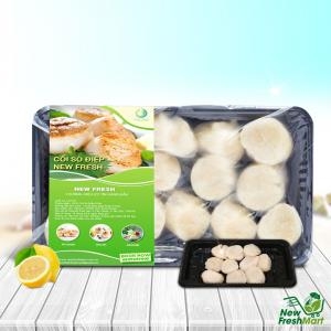 Cồi Sò Điệp Nhật New Fresh