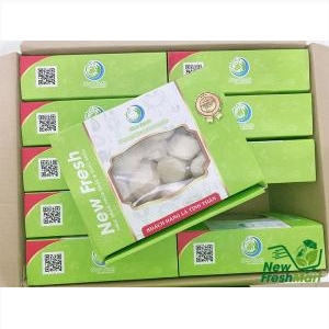 Cồi Sò Điệp Nhật New Fresh