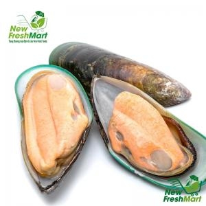 Vẹm Xanh Newzealand New Fresh