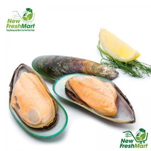 Vẹm Xanh Newzealand New Fresh