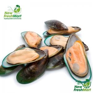 Vẹm Xanh Newzealand New Fresh