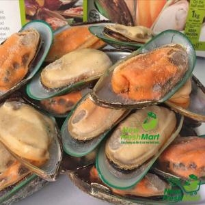 Vẹm Xanh Newzealand New Fresh