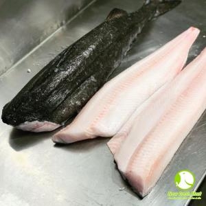 Cá Tuyết Mỹ Fillet