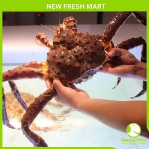 Cua Hoàng Đế Đỏ Sống