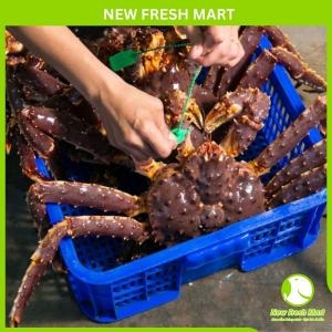 Cua Hoàng Đế Đỏ Sống