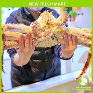 Cua Hoàng Đế Vàng Sống