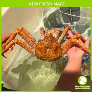 Cua Hoàng Đế Vàng Sống