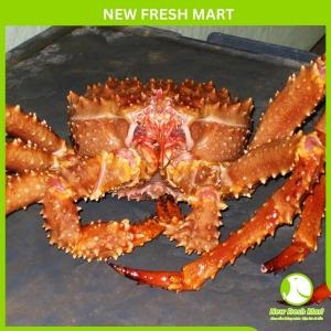 Cua Hoàng Đế Vàng Sống