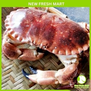 Cua Nâu Nauy Đông Lạnh Size Nhỏ