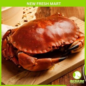 Cua Nâu Nauy Đông Lạnh Size Lớn Cua Nâu Nauy Đông Lạnh Size Lớn