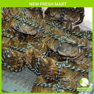 Cua Lông Hongkong Sống