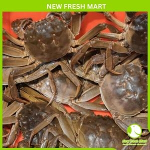 Cua Lông Hongkong Sống