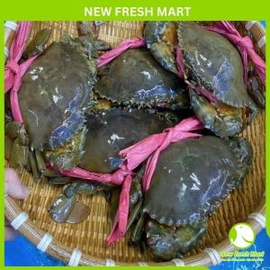 Cua Thịt Cà Mau Sống