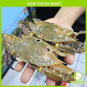 Ghẹ Xanh Đông Lạnh Nguyên Con