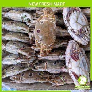 Ghẹ Xanh Đông Lạnh Nguyên Con