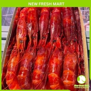 Tôm Carabineros Tây Ban Nha  Size 8-10