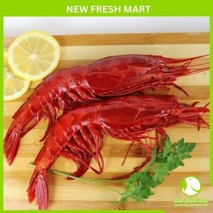 Tôm Carabineros Tây Ban Nha Size 30-40