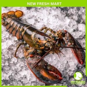 Tôm Hùm Baby Canada Tươi