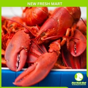 Tôm Hùm Canada Hấp