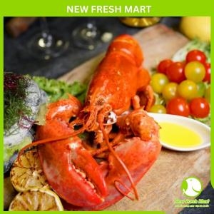 Tôm Hùm Canada Hấp