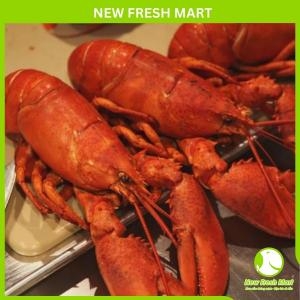 Tôm Hùm Baby Canada Hấp