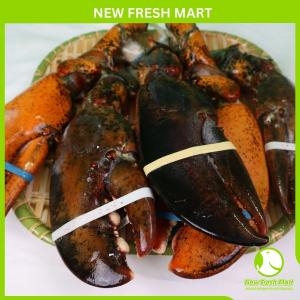 Càng Tôm Hùm Canada