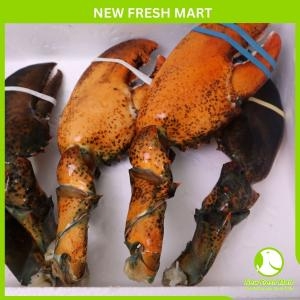 Càng Tôm Hùm Canada