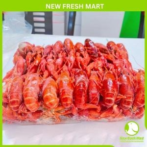Tôm Hùm Đất Crawfish Size Lớn