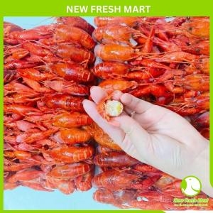 Tôm Hùm Đất Crawfish Size Nhỏ
