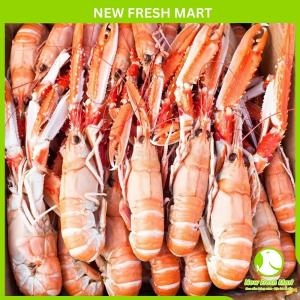 Tôm Càng Đỏ Nauy