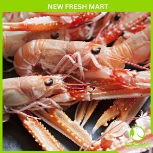 Tôm Càng Đỏ Nauy