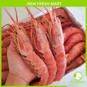 Tôm Đỏ Nguyên Con Argentina