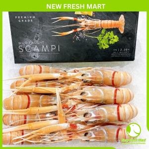 Tôm Scampi Newzealand